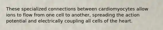 These specialized connections between cardiomyocytes allow ions to flow from one cell to another, spreading the action potential and electrically coupling all cells of <a href='https://www.questionai.com/knowledge/kya8ocqc6o-the-heart' class='anchor-knowledge'>the heart</a>.