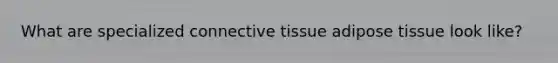 What are specialized connective tissue adipose tissue look like?