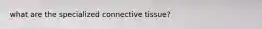 what are the specialized connective tissue?