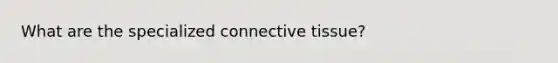 What are the specialized connective tissue?