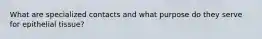What are specialized contacts and what purpose do they serve for epithelial tissue?
