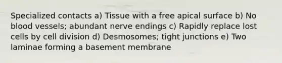 Specialized contacts a) Tissue with a free apical surface b) No blood vessels; abundant nerve endings c) Rapidly replace lost cells by cell division d) Desmosomes; tight junctions e) Two laminae forming a basement membrane