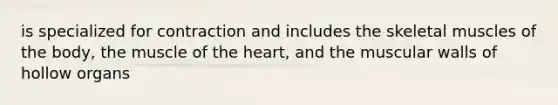 is specialized for contraction and includes the skeletal muscles of the body, the muscle of the heart, and the muscular walls of hollow organs