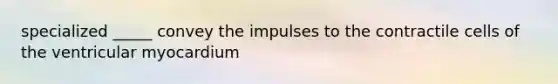 specialized _____ convey the impulses to the contractile cells of the ventricular myocardium