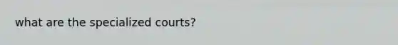 what are the specialized courts?