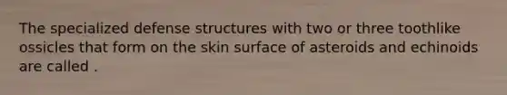 The specialized defense structures with two or three toothlike ossicles that form on the skin surface of asteroids and echinoids are called .