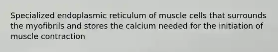 Specialized endoplasmic reticulum of muscle cells that surrounds the myofibrils and stores the calcium needed for the initiation of muscle contraction