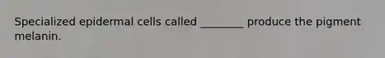 Specialized epidermal cells called ________ produce the pigment melanin.