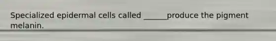 Specialized epidermal cells called ______produce the pigment melanin.