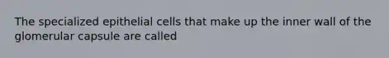 The specialized epithelial cells that make up the inner wall of the glomerular capsule are called