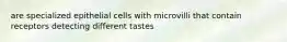 are specialized epithelial cells with microvilli that contain receptors detecting different tastes