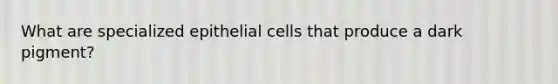 What are specialized epithelial cells that produce a dark pigment?