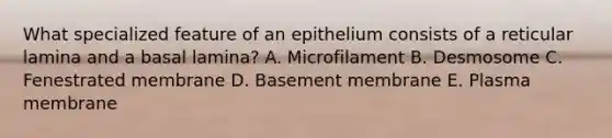 What specialized feature of an epithelium consists of a reticular lamina and a basal lamina? A. Microfilament B. Desmosome C. Fenestrated membrane D. Basement membrane E. Plasma membrane