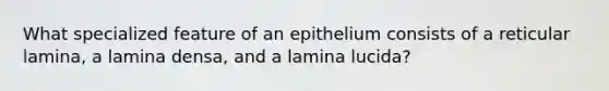 What specialized feature of an epithelium consists of a reticular lamina, a lamina densa, and a lamina lucida?