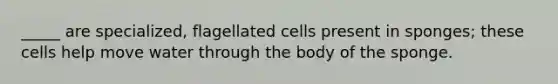 _____ are specialized, flagellated cells present in sponges; these cells help move water through the body of the sponge.