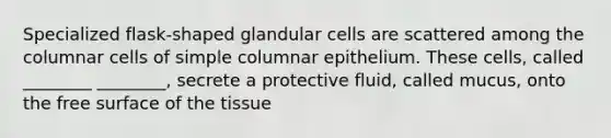 Specialized flask-shaped glandular cells are scattered among the columnar cells of simple columnar epithelium. These cells, called ________ ________, secrete a protective fluid, called mucus, onto the free surface of the tissue