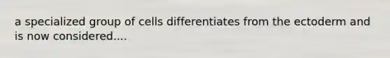 a specialized group of cells differentiates from the ectoderm and is now considered....