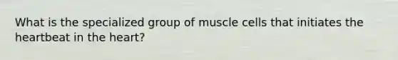 What is the specialized group of muscle cells that initiates the heartbeat in the heart?