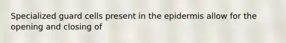 Specialized guard cells present in the epidermis allow for the opening and closing of