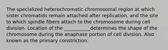 The specialized heterochromatic chromosomal region at which sister chromatids remain attached after replication, and the site to which spindle fibers attach to the chromosome during cell division. Location of the ___________determines the shape of the chromosome during the anaphase portion of cell division. Also known as the primary constriction.