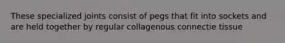 These specialized joints consist of pegs that fit into sockets and are held together by regular collagenous connectie tissue