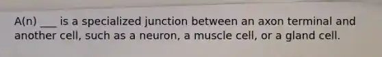 A(n) ___ is a specialized junction between an axon terminal and another cell, such as a neuron, a muscle cell, or a gland cell.