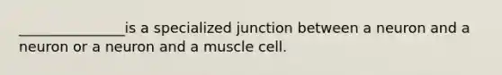 _____​__________is a specialized junction between a neuron and a neuron or a neuron and a muscle cell.