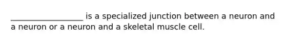 __________________ is a specialized junction between a neuron and a neuron or a neuron and a skeletal muscle cell.