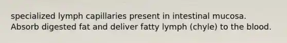 specialized lymph capillaries present in intestinal mucosa. Absorb digested fat and deliver fatty lymph (chyle) to the blood.