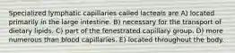 Specialized lymphatic capillaries called lacteals are A) located primarily in the large intestine. B) necessary for the transport of dietary lipids. C) part of the fenestrated capillary group. D) more numerous than blood capillaries. E) located throughout the body.
