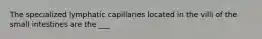 The specialized lymphatic capillaries located in the villi of the small intestines are the ___