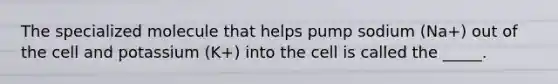 The specialized molecule that helps pump sodium (Na+) out of the cell and potassium (K+) into the cell is called the _____.