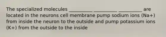 The specialized molecules __________ __________ __________ are located in the neurons cell membrane pump sodium ions (Na+) from inside the neuron to the outside and pump potassium ions (K+) from the outside to the inside