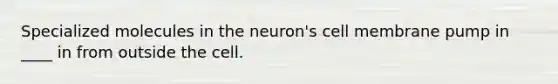 Specialized molecules in the neuron's cell membrane pump in ____ in from outside the cell.