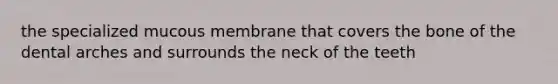 the specialized mucous membrane that covers the bone of the dental arches and surrounds the neck of the teeth