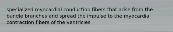 specialized myocardial conduction fibers that arise from the bundle branches and spread the impulse to the myocardial contraction fibers of the ventricles