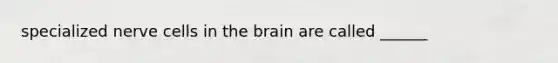 specialized nerve cells in the brain are called ______