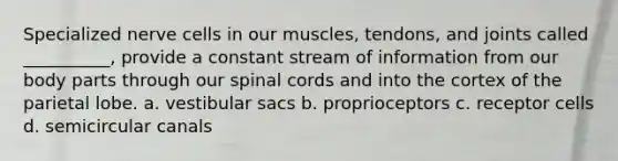 Specialized nerve cells in our muscles, tendons, and joints called __________, provide a constant stream of information from our body parts through our spinal cords and into the cortex of the parietal lobe. a. vestibular sacs b. proprioceptors c. receptor cells d. semicircular canals