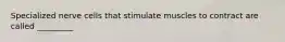 Specialized nerve cells that stimulate muscles to contract are called _________