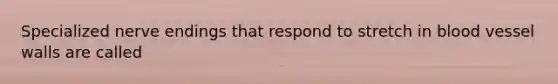Specialized nerve endings that respond to stretch in blood vessel walls are called