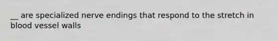__ are specialized nerve endings that respond to the stretch in blood vessel walls