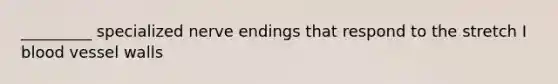 _________ specialized nerve endings that respond to the stretch I blood vessel walls