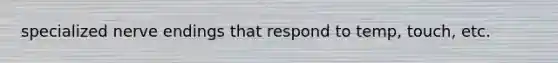 specialized nerve endings that respond to temp, touch, etc.