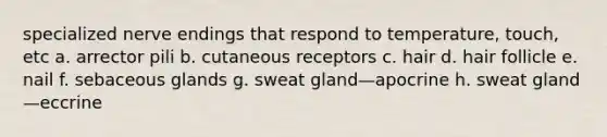 specialized nerve endings that respond to temperature, touch, etc a. arrector pili b. cutaneous receptors c. hair d. hair follicle e. nail f. sebaceous glands g. sweat gland—apocrine h. sweat gland—eccrine