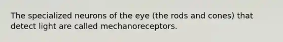 The specialized neurons of the eye (the rods and cones) that detect light are called mechanoreceptors.