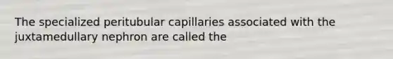 The specialized peritubular capillaries associated with the juxtamedullary nephron are called the