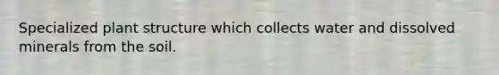 Specialized plant structure which collects water and dissolved minerals from the soil.