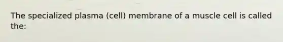 The specialized plasma (cell) membrane of a muscle cell is called the: