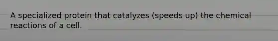 A specialized protein that catalyzes (speeds up) the <a href='https://www.questionai.com/knowledge/kc6NTom4Ep-chemical-reactions' class='anchor-knowledge'>chemical reactions</a> of a cell.