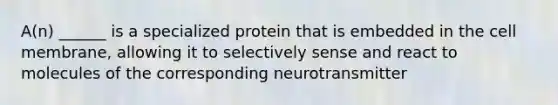 A(n) ______ is a specialized protein that is embedded in the cell membrane, allowing it to selectively sense and react to molecules of the corresponding neurotransmitter